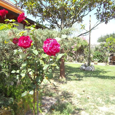 Rubayo Hosteria Las Fuentes المظهر الخارجي الصورة
